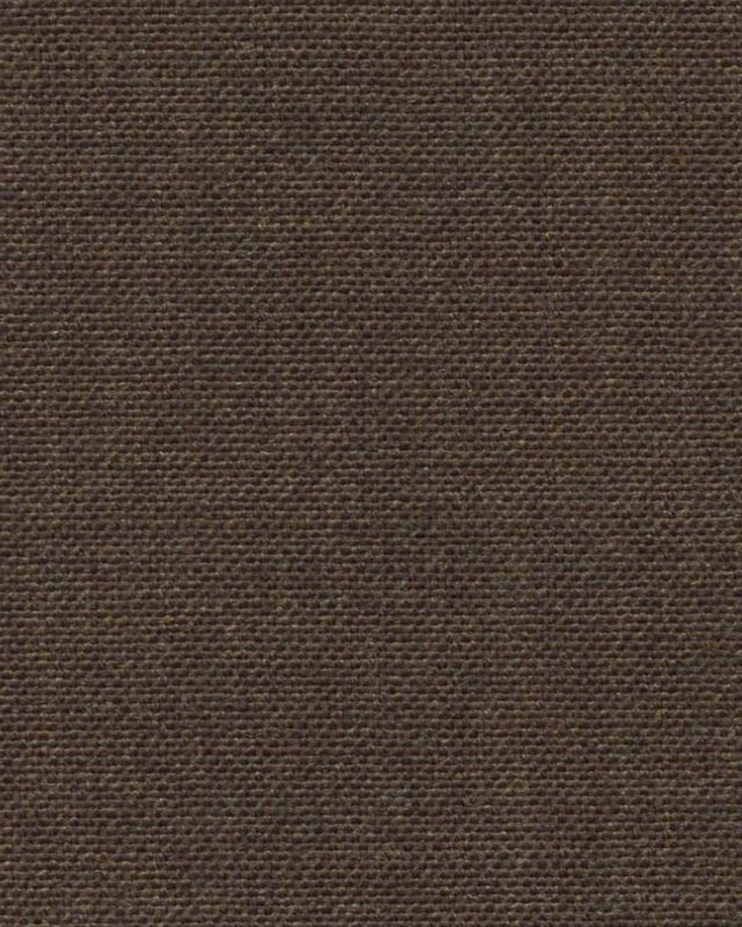 Holland & Sherry Crispaire Hazel Solid