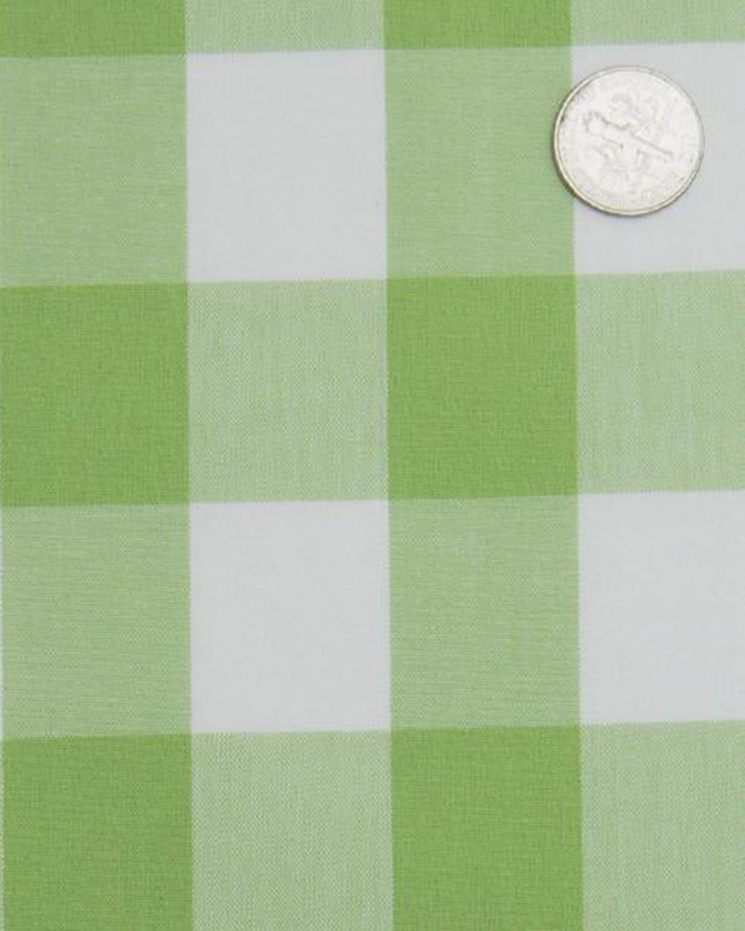 Light Apple Green Windowpane Checks