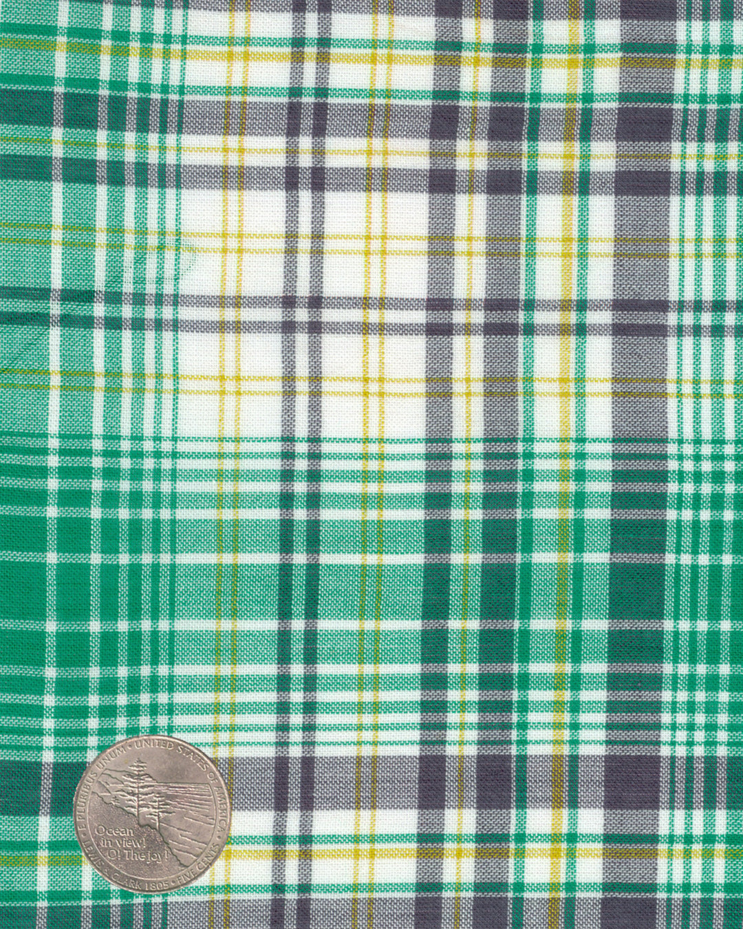 Summer Light Green Grey Madras