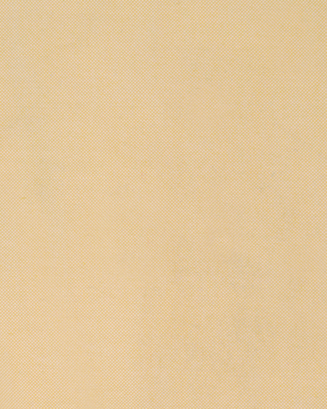 Wrinkle Free Travel Oxford: Egg Nog Yellow