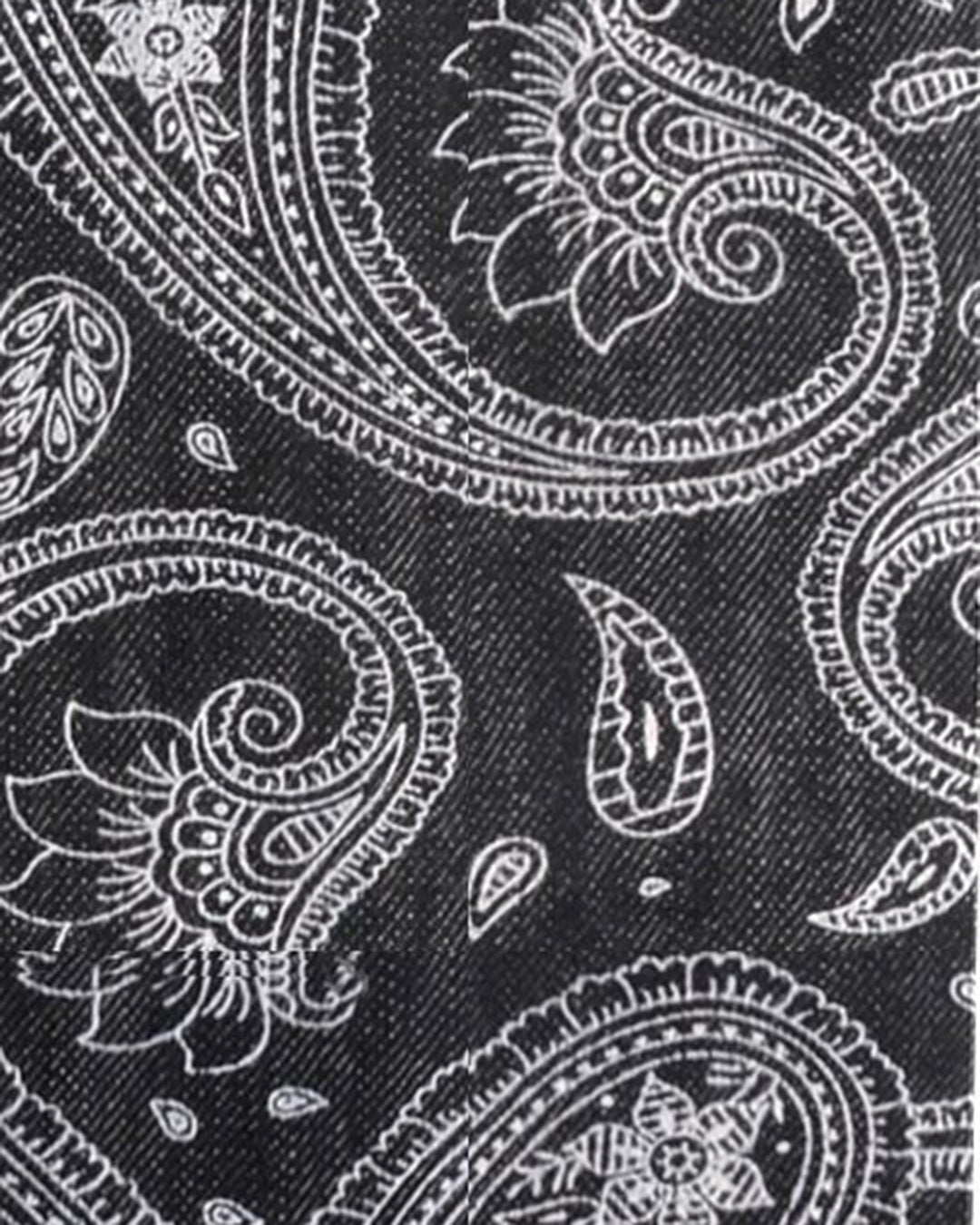 Paisley Denim Wabash