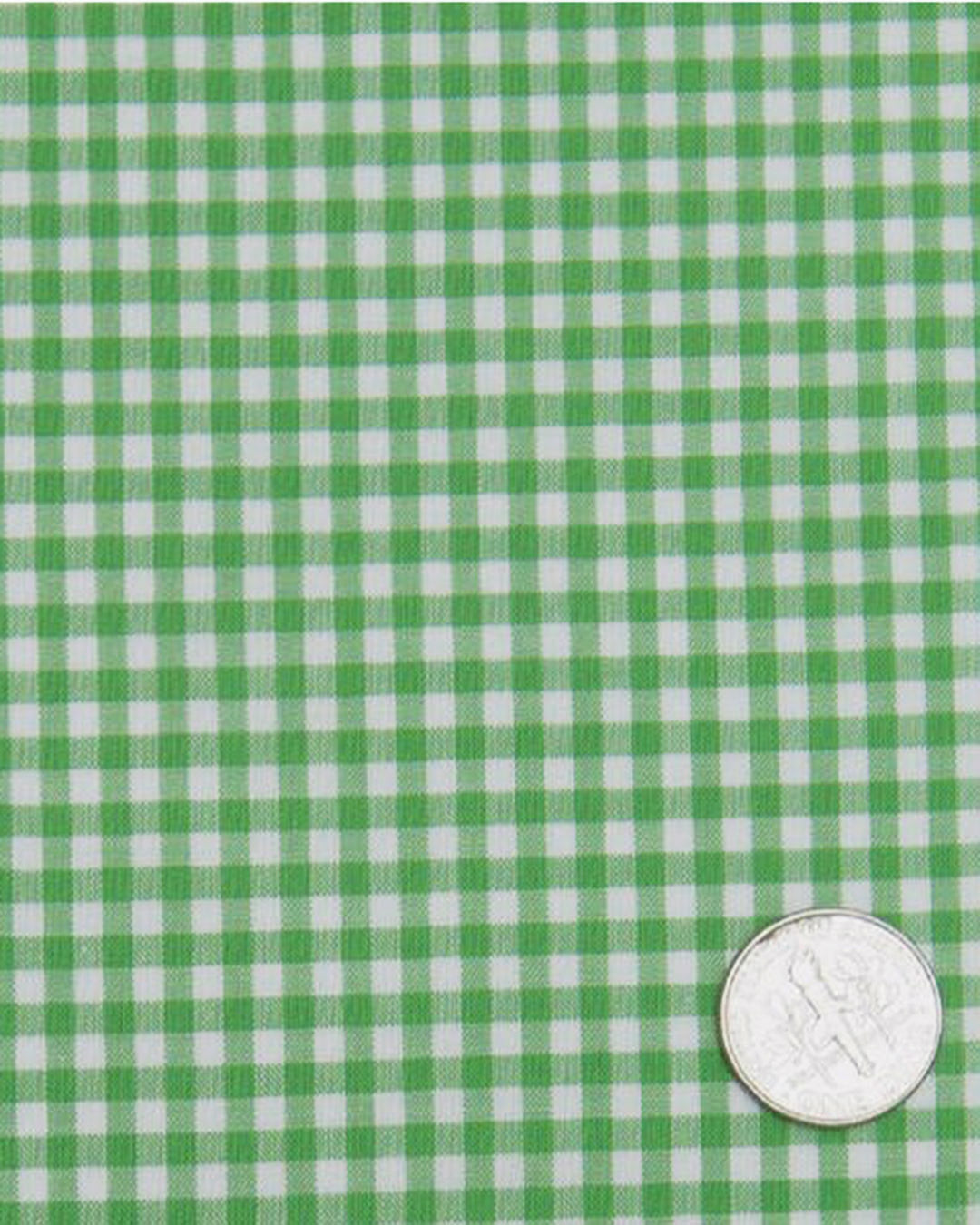 Lincon Green Gingham on White - 5