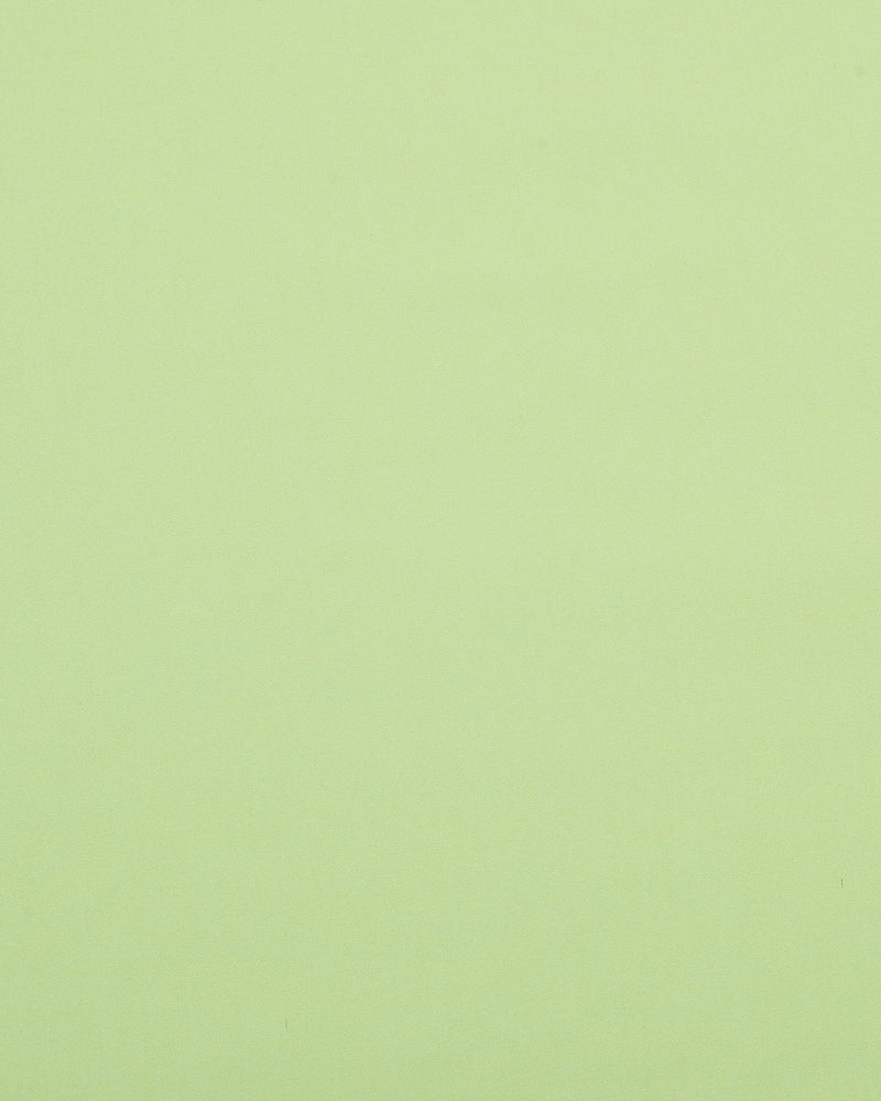 EZS Light Green Pinpoint Oxford Shirt