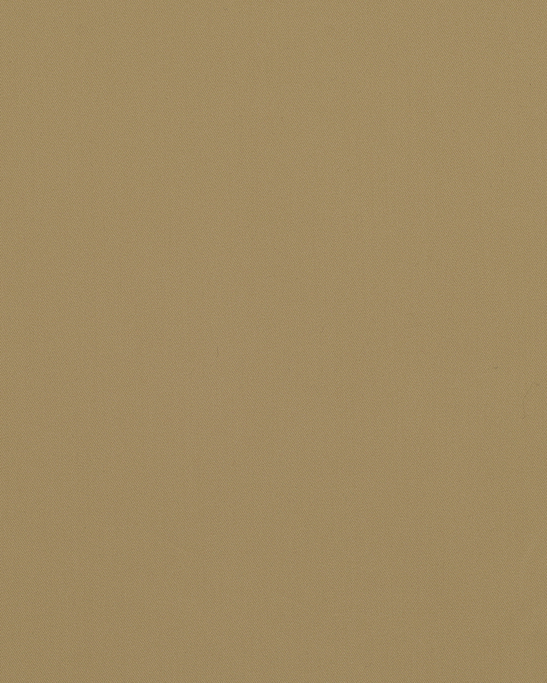 Biscotti Beige Chino - 4