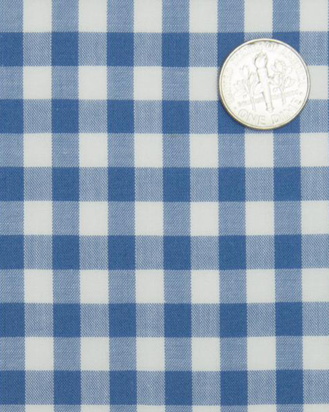 Ultramarine Blue Checks on White - 5