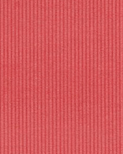 Brisbane Moss Coral Needlecord