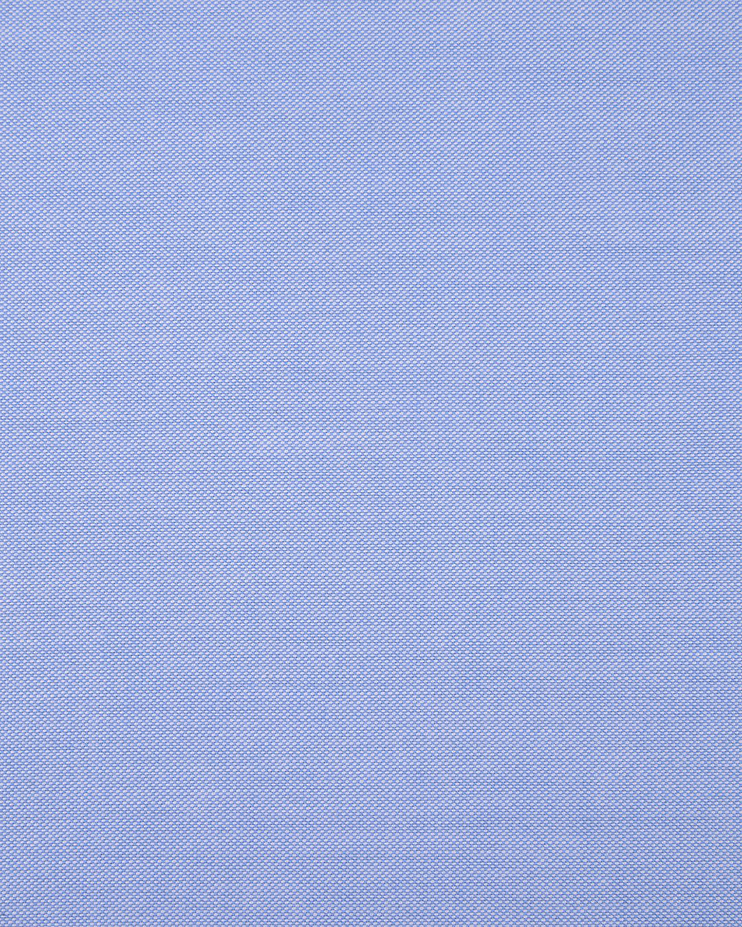Plain Blue Oxford - 4