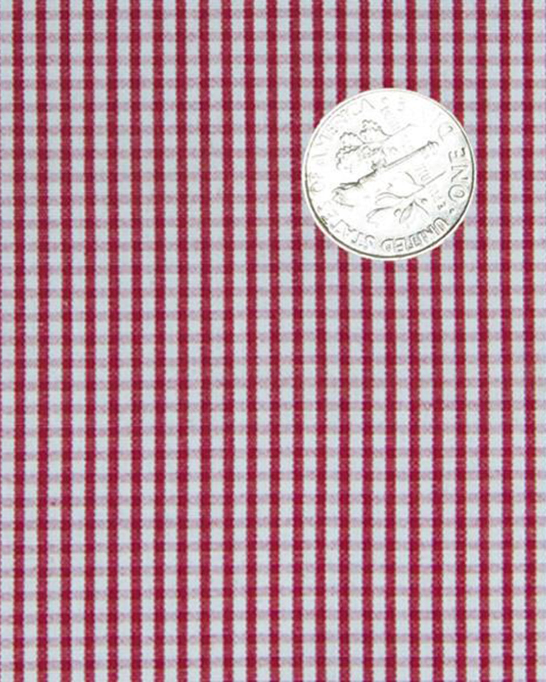 Red on White Checks - 4
