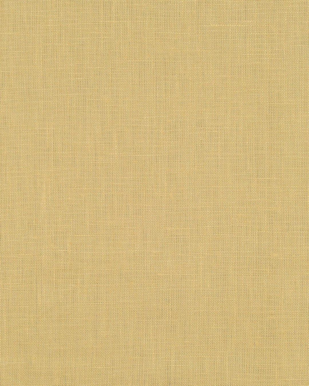 Goldish Yellow Linen Dress Pant - 5