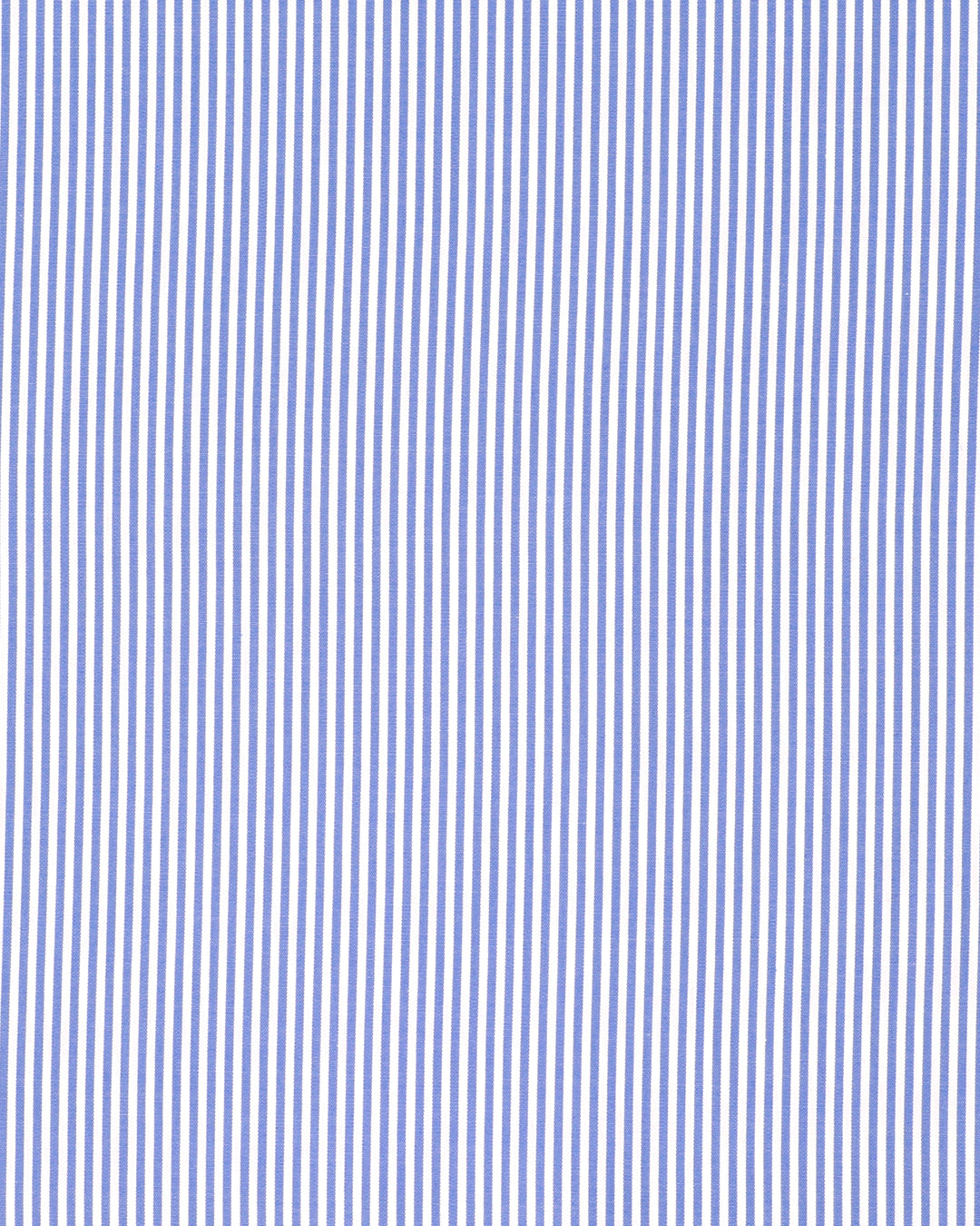 Royal Blue University Stripes - 4